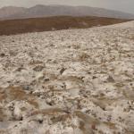 Death Valley - Salt Creek Interpretive Trail